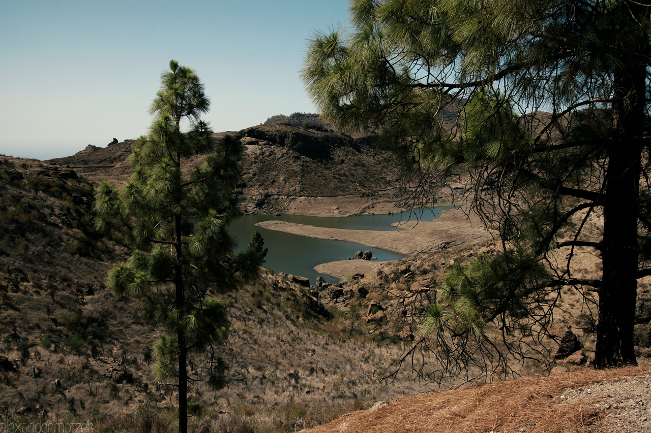 Gran Canaria Foto von Gran Canaria Stausee Pinien